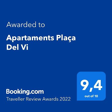 Apartaments Placa Del VI Жерона Екстер'єр фото